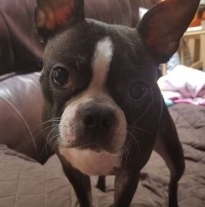 Meet your Posher, Becky